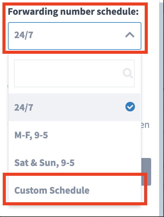 Custom Call Forwarding Schedules